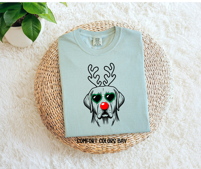 Dog Reindeer (Ask for different breeds)